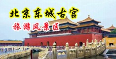 淫穴骚逼内射中出中国北京-东城古宫旅游风景区